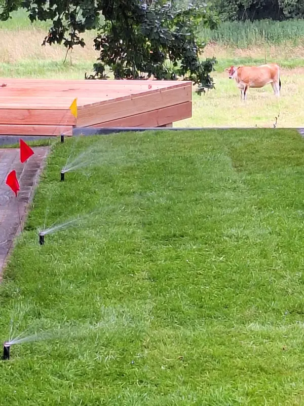 Rasenbewässerung im Einsatz