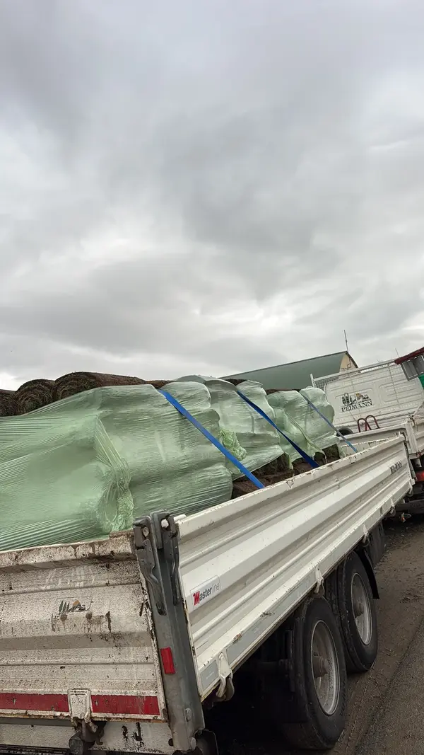 Anlieferung Rollrasen