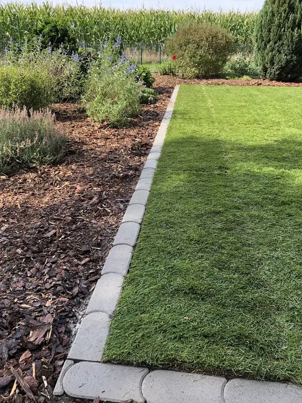 Rasenkantenabschluss zum Feld