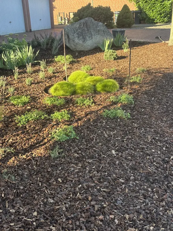 Gräser-Elemente im Garten