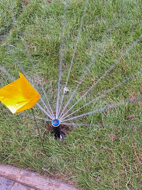 Automatisierte Bewässerung