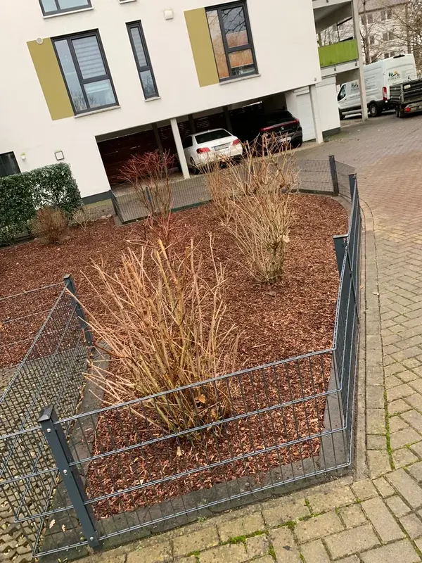 Winterliche Gartenansicht