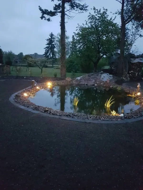 Abenddämmerung um den Gartenteich